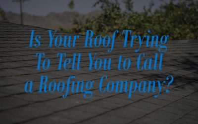 Signs You Should Call a Roof Repair Company