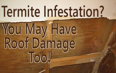 Termite Roof Damage