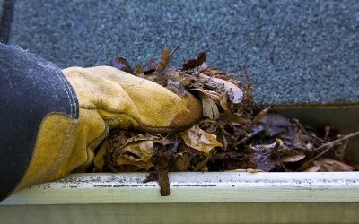 DIY Home Maintenance You Don’t Need a Contractor For