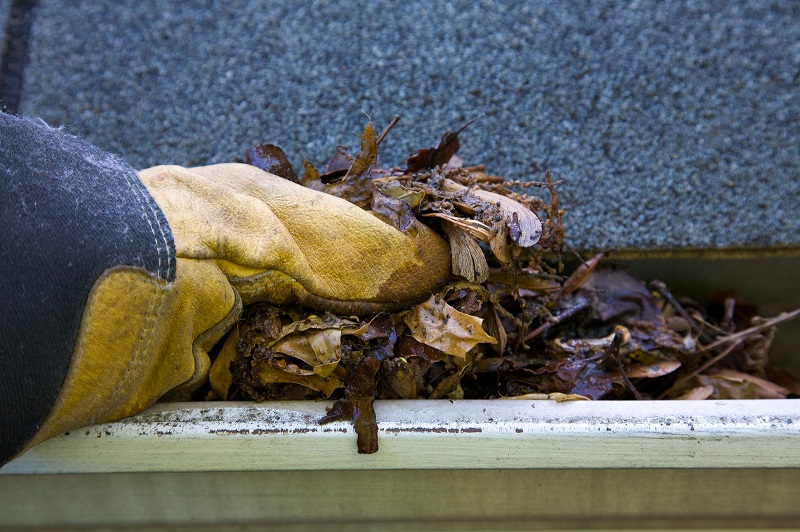 gutter cleaning is an easy DIY home maintenance task