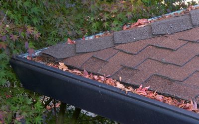 Types of Damage from Clogged Gutters