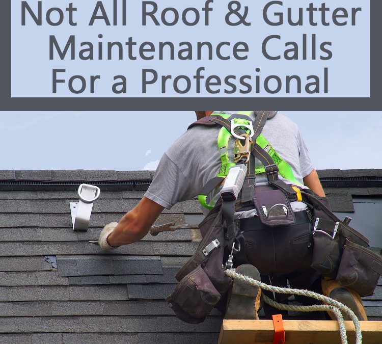 roof and gutter maintenance