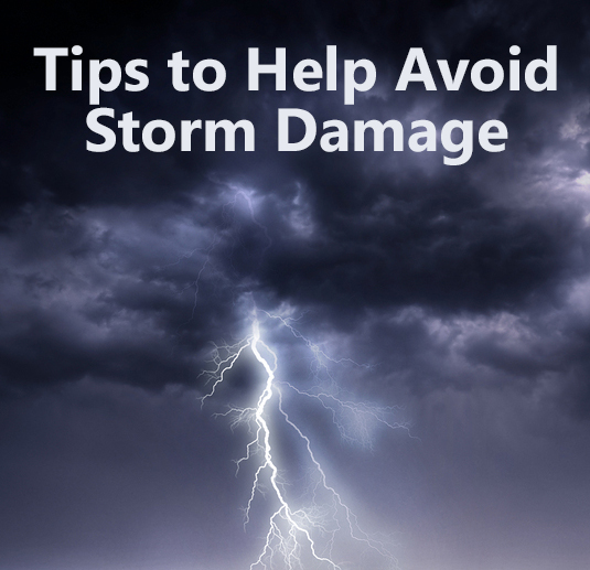 Ways to Avoid Storm Damage
