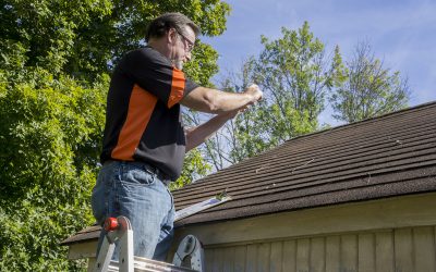 What is Professional Roof Maintenance