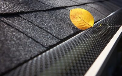 Choosing the Right Gutter Guard & Installers